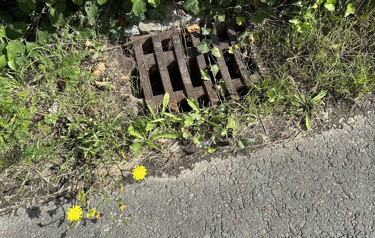 Das ist übrigens ein Gully in Gera (Tinz)... &amp; wenn's Überschwemmungen gibt, war's dann der Klimawandel🥳