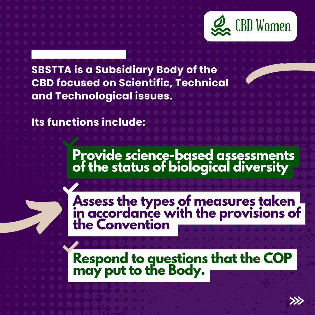 cbd_wc's tweet image. 📣 What is SBSTTA & why does it matter?
It’s where science becomes policy — impacting women & girls on the frontlines of biodiversity loss.
At #SBSTTA27 (Oct 20–24), #CBDWomensCaucus is pushing for gender equity in all biodiversity decisions.
🔗cbd.int/decision/cop/d…