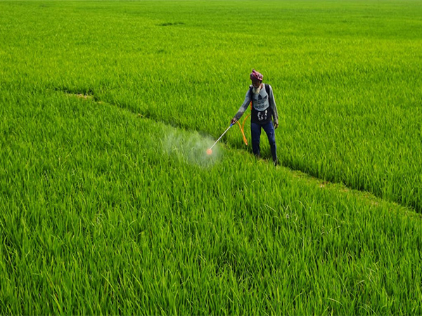 ani_digital's tweet photo. Govt fertiliser subsidy outlay to increase amid supply disruptions by China and surge in international prices: Report 

Read @ANI Story |  https://t.co/BcC4jyfHZz

#Subsidy #Fertiliser #Outlay #Prices https://t.co/GpWomAGiSw