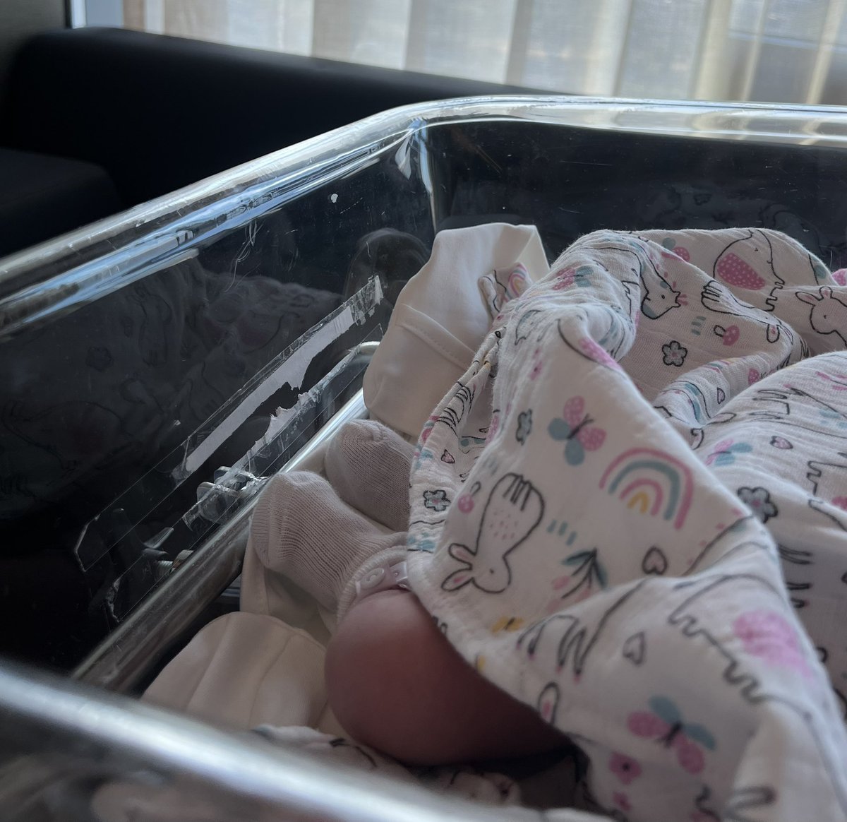 Suat_Ozcagdas's tweet image. Hoş geldin Maya…
Tutuklu bulunan İBB İmar ve Şehircilik Daire Başkanımız Ramazan Gülten ile Pınar Çalışkan Gülten’in biricik kızları Maya, dünyaya gözlerini açtı.
Ne yazık ki babası bugün yanında değil… Ama inanıyoruz ki Maya, en kısa sürede babasıyla özgürlükte kucaklaşacak.…