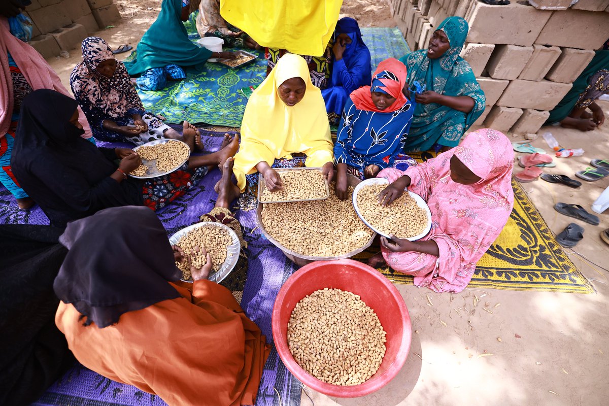 EnabelauNiger's tweet photo. 🌍Au #Niger 🇳🇪, 208 groupements féminins appuyés par le portefeuille Climat lancent des activités durables face au climat.
🔹19M FCFA épargnés
🔹+9M FCFA de crédits
🔹Femmes + autonomes, + reconnues 🧕💪
#Actforimpact https://t.co/VvNL9MWTAH