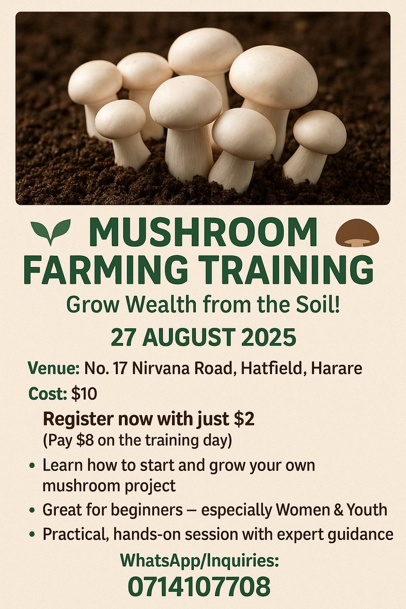 SHDF Zimbabwe tweet media