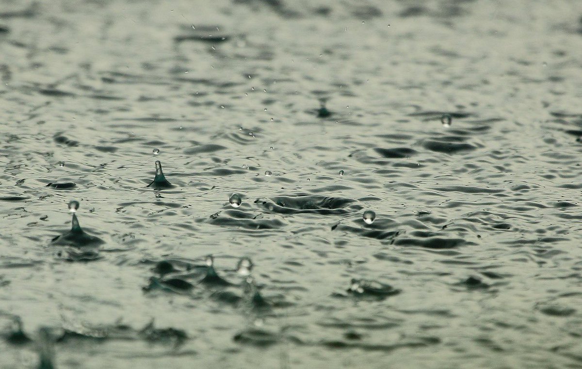 🌧️⚡ La conca del riu Segura ha registrat un episodi intens de pluges durant aquest mes de juliol.

💧✅ Ha deixat 59,1 l/m² acumulats al Pilar de la Horadada i 35,8 l/m² en l'embassament de La Pedrera a Oriola.