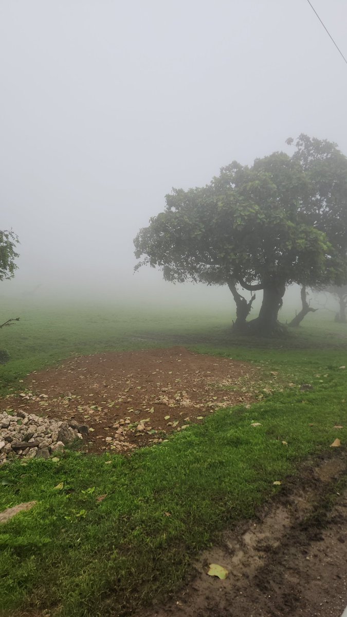 مساء الخير..