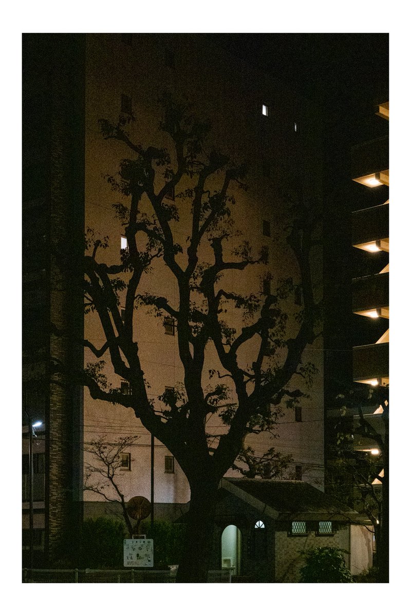 제곱이 (@thesquareoftwo) on Twitter photo 