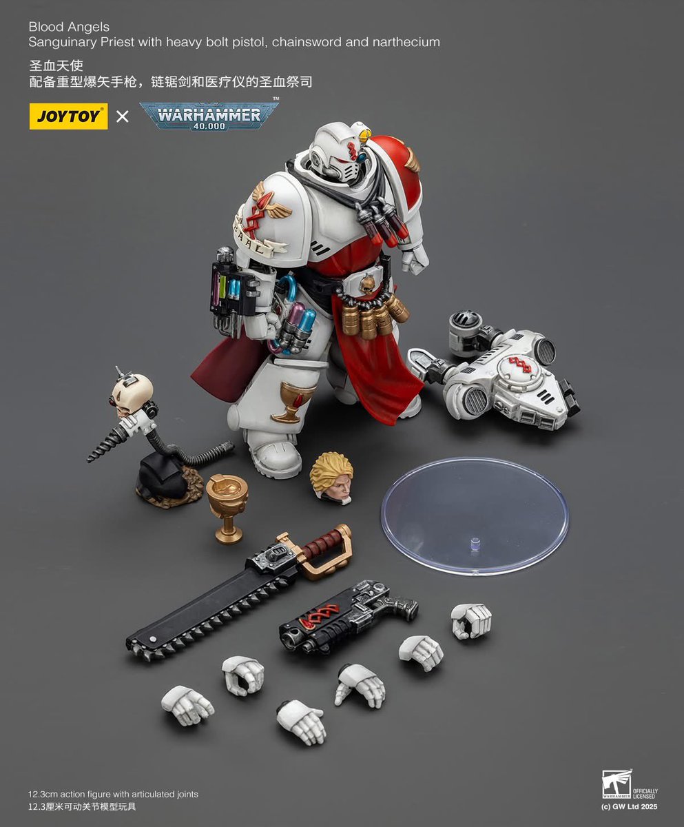 Blood Angels Sanguinary Priest