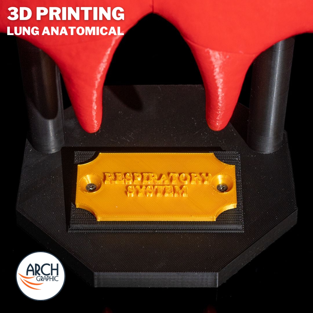 3d_archgraphic's tweet image. 🫁 3D Printed Lung Anatomical Model 🏥
High-detail medical model for education, research, and surgical planning.

arch-graphic.com
#3DPrintingUAE #Medical3DPrinting #LungModel #AnatomicalModels #RespiratoryHealth #Healthcare3DPrinting #MedicalEducationUAE #UAE3DPrint