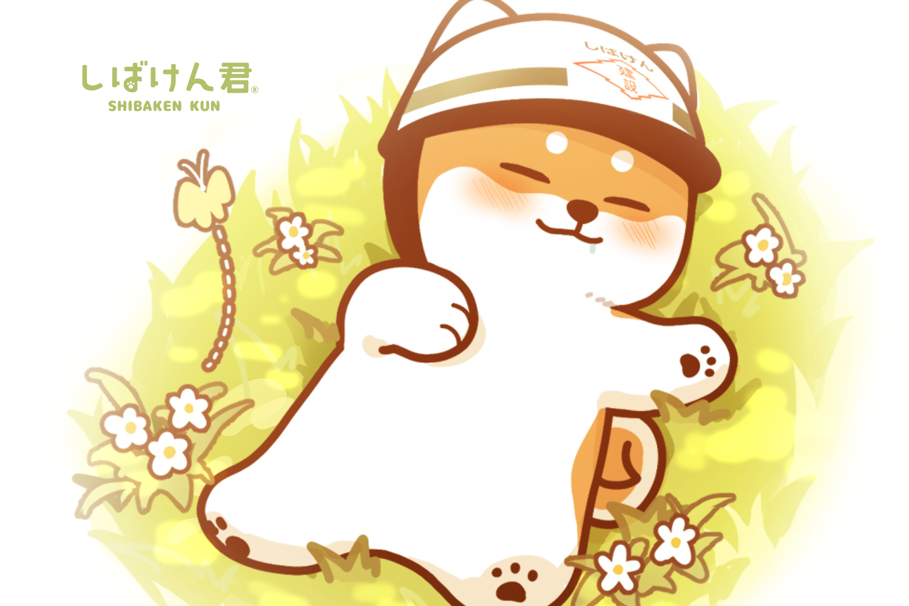 新発田建設㈱公式】しばけん君 (@shibaken_kun) / X