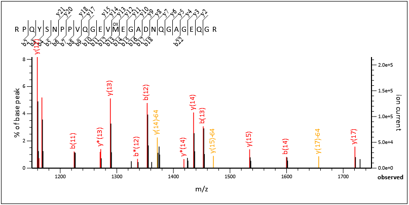 Peptide identification in spectrum-centric DIA depends on accurate precursor mass. The upcoming version of Mascot Distiller includes a novel algorithm that deduces precursor masses from MS/MS scans.

#proteomics #massspec

matrixscience.com/blog/youve-got…