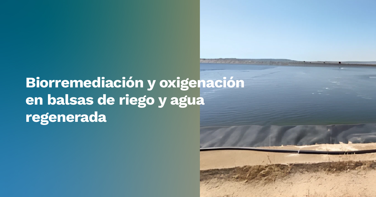 Frente a soluciones químicas de corto plazo, la oxigenación profunda con microburbujas ofrece una alternativa sostenible que mejora la calidad del agua, reduce costos y optimiza la producción agrícola.
El Informe Técnico de nuestro Boletín #Intercuencas en
fenacore.org/wp-content/upl…