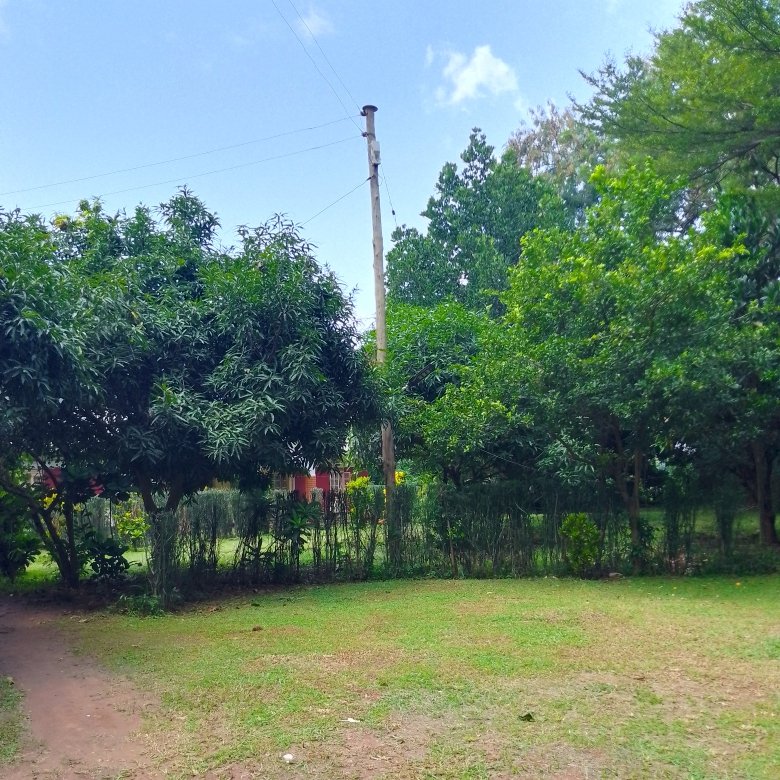 CPAR UGANDA Ltd a nonprofit dev't company (@cparuganda) on Twitter photo Lush green at Dr. Paul Hargrave Memorial Centre, Lira City. A good place to start prepping for our joint Human Development Project with <a href="/cpar/">Canadian Physicians for Aid and Relief (CPAR)</a> made possible through a legacy grant from kin of late Dr. Hargrave. Today the staff assemble to ready to train hundreds of change agents! Lush green at Dr. Paul Hargrave Memorial Centre, Lira City. A good place to start prepping for our joint Human Development Project with <a href="/cpar/">Canadian Physicians for Aid and Relief (CPAR)</a> made possible through a legacy grant from kin of late Dr. Hargrave. Today the staff assemble to ready to train hundreds of change agents!