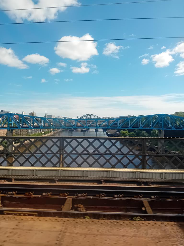 TheLengthsman's tweet image. #ToonArmy