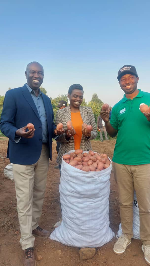 AVSI Rwanda (@avsirwanda) on Twitter photo <a href="/avsirwanda/">AVSI Rwanda</a> joined all partners and district level leaders in Gicumbi district to visit #KungaharaMuhinzi project activities from demo plots and VSLA groups to storage sheds and agro-dealers. Real impact, strong teamwork!
<a href="/careintnet/">careinternational</a>, <a href="/agrifop/">AGRIFOP</a> <a href="/GicumbiDistrict/">Gicumbi District</a> #agriculture <a href="/avsirwanda/">AVSI Rwanda</a> joined all partners and district level leaders in Gicumbi district to visit #KungaharaMuhinzi project activities from demo plots and VSLA groups to storage sheds and agro-dealers. Real impact, strong teamwork!
<a href="/careintnet/">careinternational</a>, <a href="/agrifop/">AGRIFOP</a> <a href="/GicumbiDistrict/">Gicumbi District</a> #agriculture