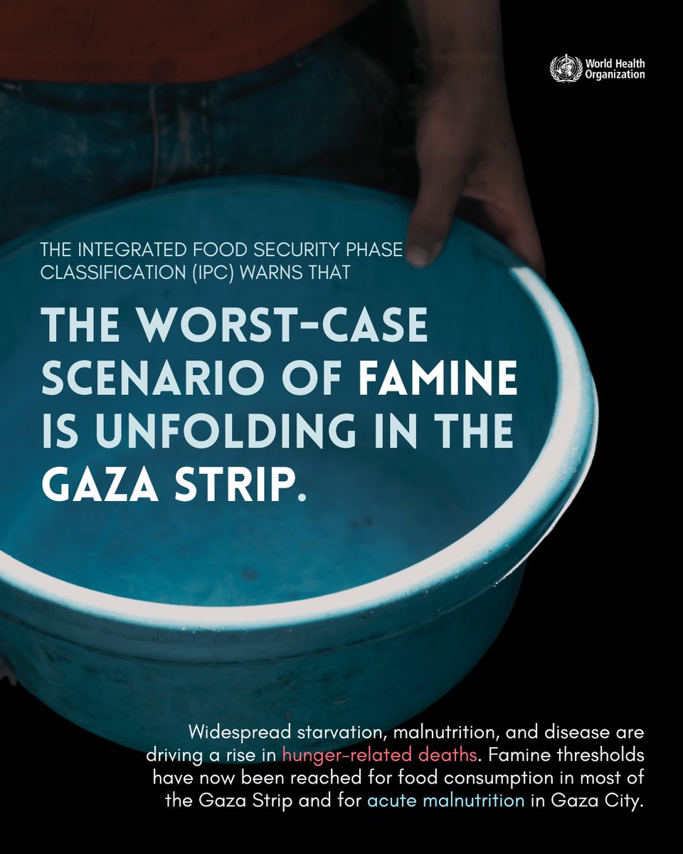 World Health Organization (WHO) (@who) on Twitter photo The Gaza Strip is now facing the worst-case scenario of #Famine as hunger-related deaths rise, warns <a href="/theIPCinfo/">The Integrated Food Security Phase Classification</a>.
The crisis has reached an alarming and deadly turning point.
WHO calls for an urgent #ceasefire and access to aid and humanitarian assistance in #Gaza.
Read more: The Gaza Strip is now facing the worst-case scenario of #Famine as hunger-related deaths rise, warns <a href="/theIPCinfo/">The Integrated Food Security Phase Classification</a>.
The crisis has reached an alarming and deadly turning point.
WHO calls for an urgent #ceasefire and access to aid and humanitarian assistance in #Gaza.
Read more: