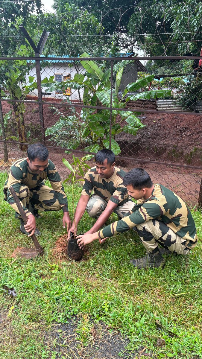 BSFODISHA's tweet image. "🌿💚 पौधा रोपण का सघन अभियान @ COB दंडाबाड़ी, 180 बटालियन बीएसएफ!
🚨 26 जुलाई 2025 को 'जी' कंपनी के नेतृत्व में 200 पौधे लगाए गए। 🌳 वन महोत्सव के अवसर पर पर्यावरण संरक्षण की दिशा में छोटा पंरतु सार्थक कदम बढ़ाया गया
#वन_महोत्सव
#हरित_भारत
#बीएसएफ
#BSFOdisha🛞