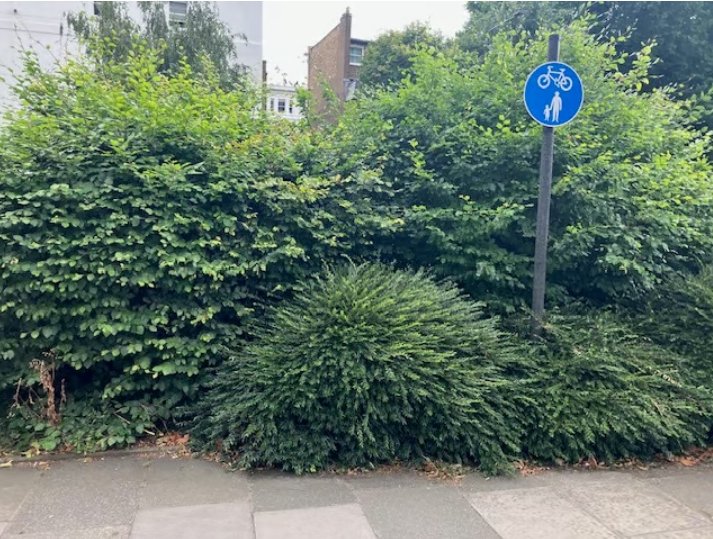 The🚴♂️Infra-PM 💚 (@theinfrapm) on Twitter photo A cyclist was fined for riding on a shared path.
He appealed to <a href="/RBKC/">Royal Borough of Kensington and Chelsea</a> (Kensington & Chelsea Borough Council) but, despite the obvious (👇🙄), was told they were “satisfied that the fixed penalty notice was issued correctly”.
"LA LA LA 👉👂👂👈 LA LA LA"
standard.co.uk/news/transport… A cyclist was fined for riding on a shared path.
He appealed to <a href="/RBKC/">Royal Borough of Kensington and Chelsea</a> (Kensington & Chelsea Borough Council) but, despite the obvious (👇🙄), was told they were “satisfied that the fixed penalty notice was issued correctly”.
"LA LA LA 👉👂👂👈 LA LA LA"
standard.co.uk/news/transport…