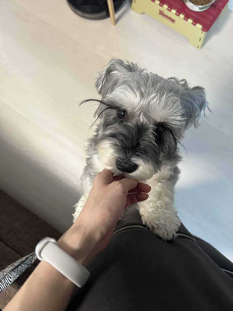 mini_MOZU's tweet photo. 今日のただいま https://t.co/ecylgpoCqo