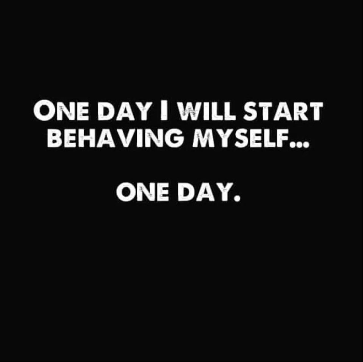 Damfool65's tweet image. Yup buddy 🤣😜