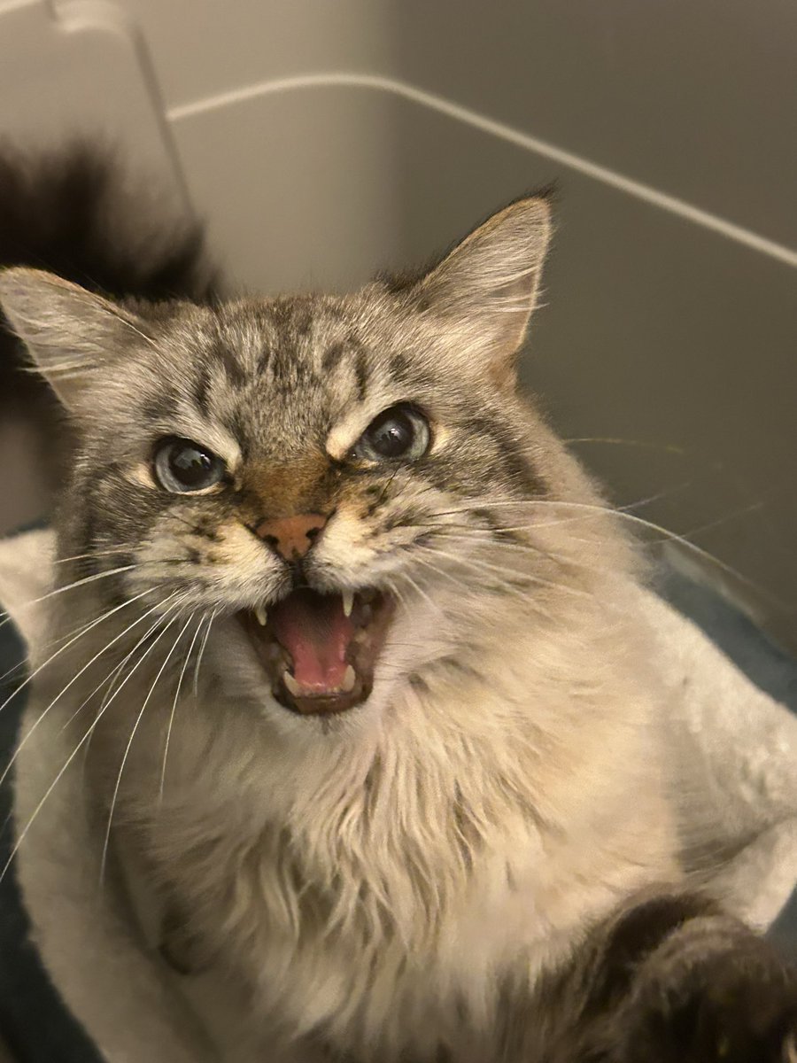 Tim🌵😎 tweet media