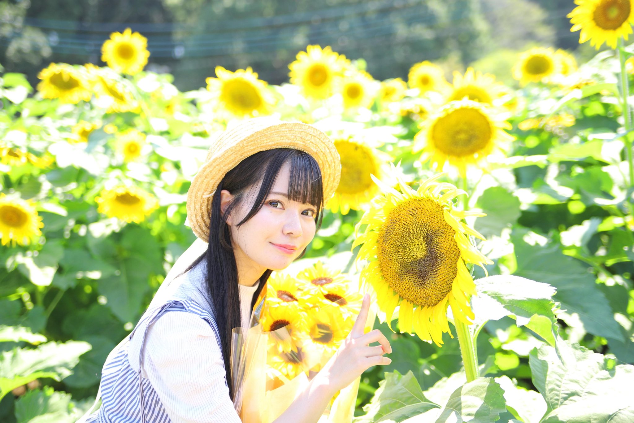ひまわり様♡ じゅんこ on X: 