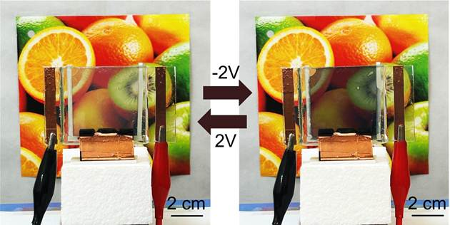 PIB_India's tweet photo. Bengaluru scientists develop cost-effective smart windows

Smart windows which can change colour at the flick of a switch, block heat on sunny days, save energy, and even store electricity may now be made from affordable materials. This advancement offers could make the smart window technology more accessible

Read here: https://t.co/X9qBROj4fq