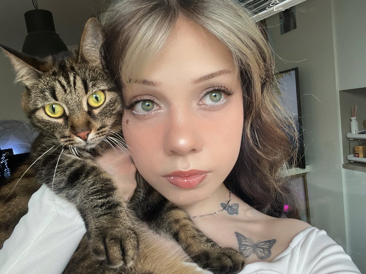 miratisus tweet media