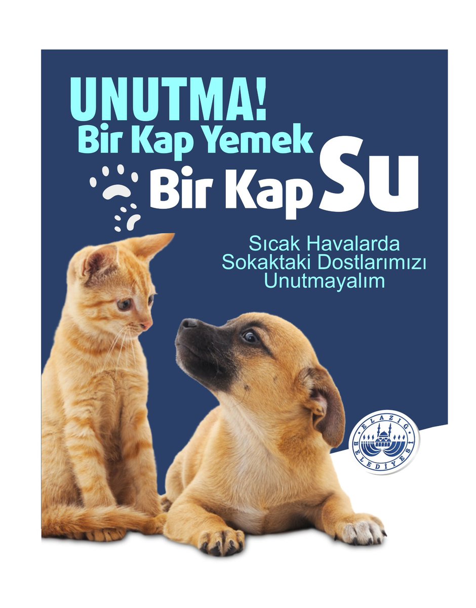 Sıcak havalarda can dostlarımızı da unutmayalım. 

Bir kap mama, bir kap su 🐈🦮