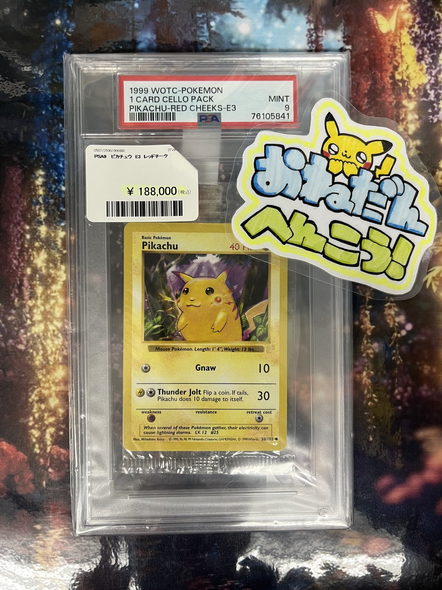 PDG Collector's Shop 秋葉原 on X: 