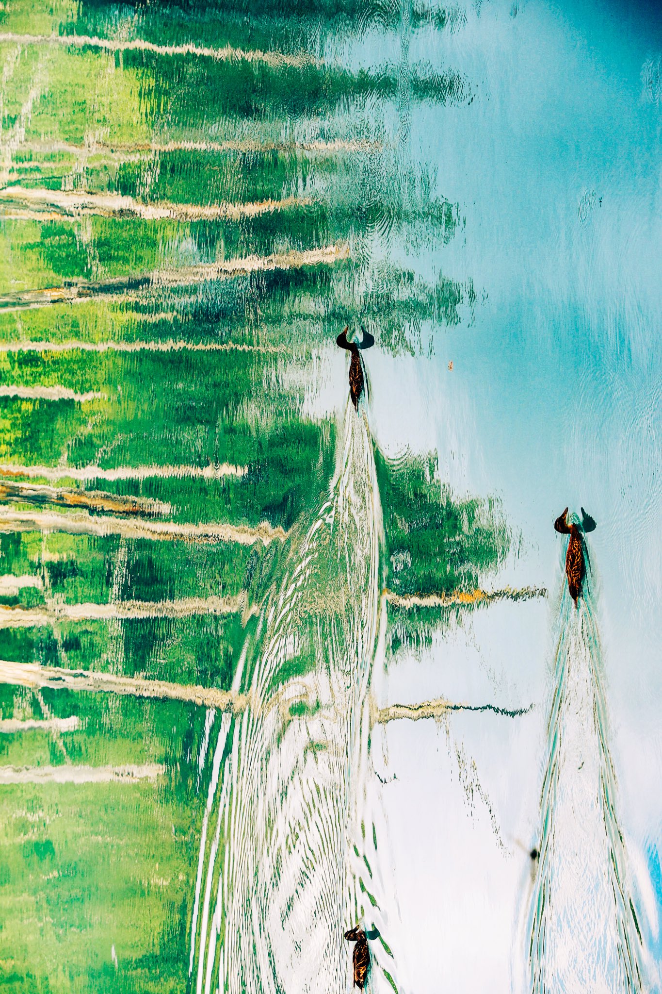 絵画 Riverocean Piedra Del Sol, 絵画 José Espinozaによって | ArtMajeur