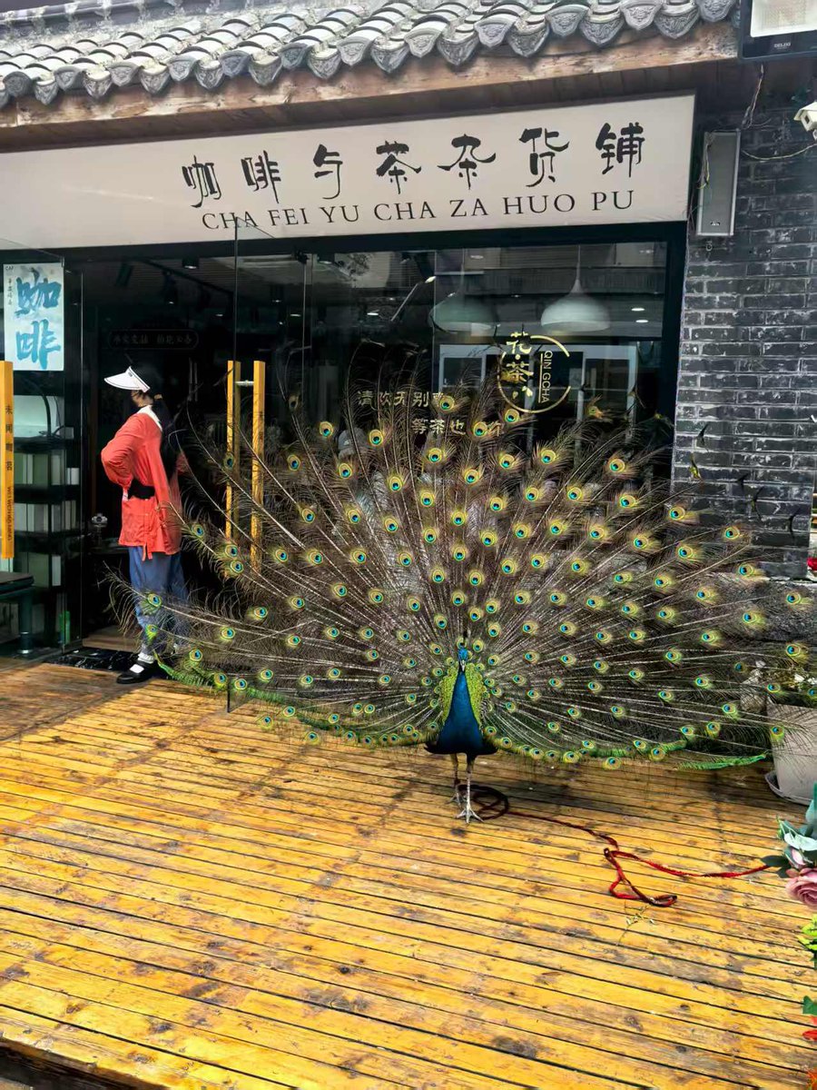 日照好玩！

下回还来！

赶海好玩！

下回还赶！