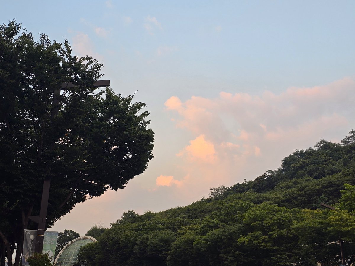 오렌지색하늘은무슨맛일까?