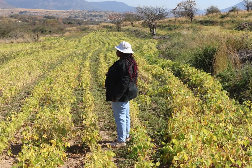 U.S. Embassy Eswatini (@usembeswatini) on Twitter photo We celebrate AWE alumna and agripreneur Thembisile Mafu, founder of Resilient Mafu, who has just been awarded ๐๐ฎ๐ญ๐ฌ๐ญ๐๐ง๐๐ข๐ง๐ ๐๐ ๐ซ๐ข๐๐ฎ๐ฌ๐ข๐ง๐๐ฌ๐ฌ ๐๐ง๐ญ๐ซ๐๐ฉ๐ซ๐๐ง๐๐ฎ๐ซ in the ๐๐ก๐ข๐ฌ๐๐ฅ๐ฐ๐๐ง๐ข ๐๐ง๐ญ๐ซ๐๐ฉ๐ซ๐๐ง๐๐ฎ๐ซ ๐จ๐ ๐ญ๐ก๐ ๐๐๐๐ซ Regional Awards 2025. We celebrate AWE alumna and agripreneur Thembisile Mafu, founder of Resilient Mafu, who has just been awarded ๐๐ฎ๐ญ๐ฌ๐ญ๐๐ง๐๐ข๐ง๐ ๐๐ ๐ซ๐ข๐๐ฎ๐ฌ๐ข๐ง๐๐ฌ๐ฌ ๐๐ง๐ญ๐ซ๐๐ฉ๐ซ๐๐ง๐๐ฎ๐ซ in the ๐๐ก๐ข๐ฌ๐๐ฅ๐ฐ๐๐ง๐ข ๐๐ง๐ญ๐ซ๐๐ฉ๐ซ๐๐ง๐๐ฎ๐ซ ๐จ๐ ๐ญ๐ก๐ ๐๐๐๐ซ Regional Awards 2025.