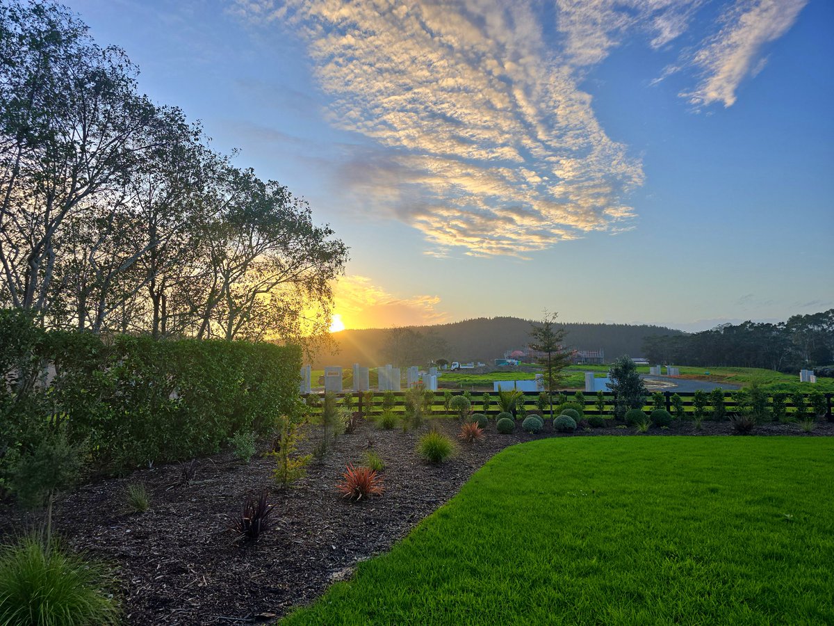 jayvanlent's tweet photo. July's pictures—we're loving how our gardens are looking! It’s so satisfying to get everything sorted and ready during winter ready for spring 😎✂️🌳 #gardens #gardening #auckland #coatesville #newzealand #livingart https://t.co/RKWus1Dddd