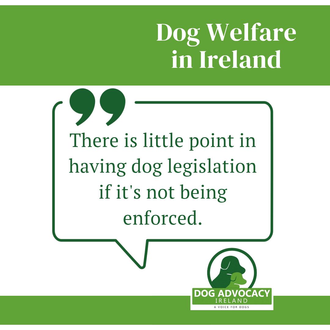 The current system for dog welfare in Ireland is utterly dysfunctional.
We urgently propose introducing an animal welfare specific training course for all Garda entering the force. Everyone should receive the same education- This needs to be addressed in our government!