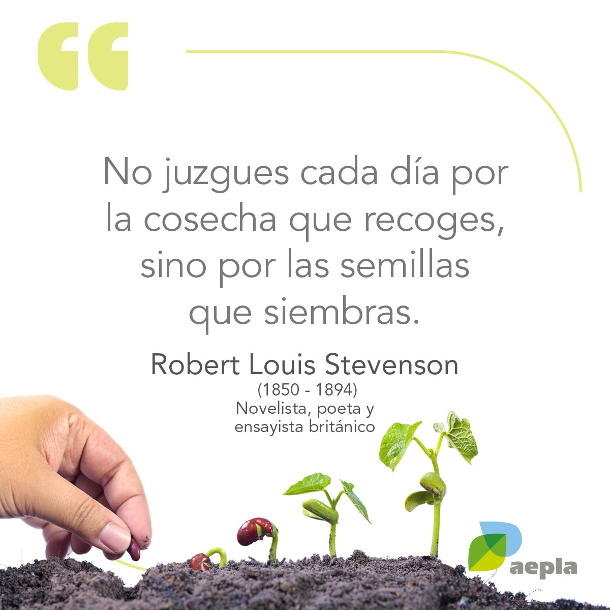 El esfuerzo de hoy es la semilla que te permitirá obtener los frutos que mereces en el futuro.

No dejes que nada ni nadie te convenza de lo contrario 💚
