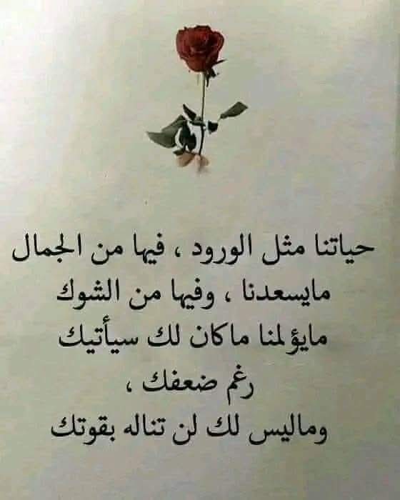 علي البشير (@alialbshir18345) on Twitter photo 