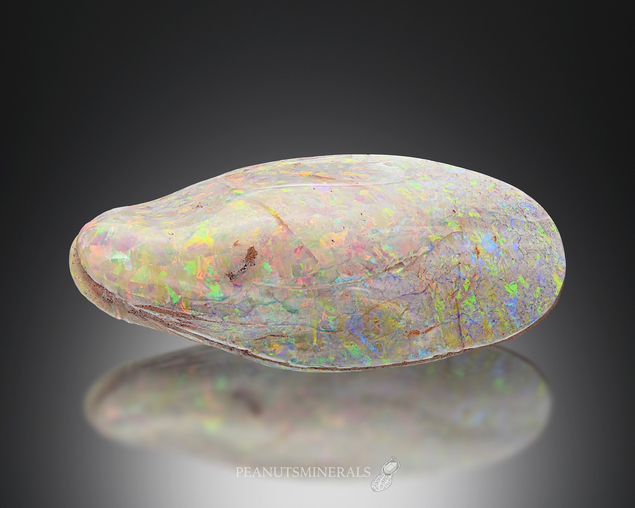 約10kg以上あり‼️金運✡️爆上げ‼️超S級✡️金蛇石✡️ 約10kg以上あり‼️金運✡️爆上げ‼️超S級✡️金蛇石✡️ 【公式通販】