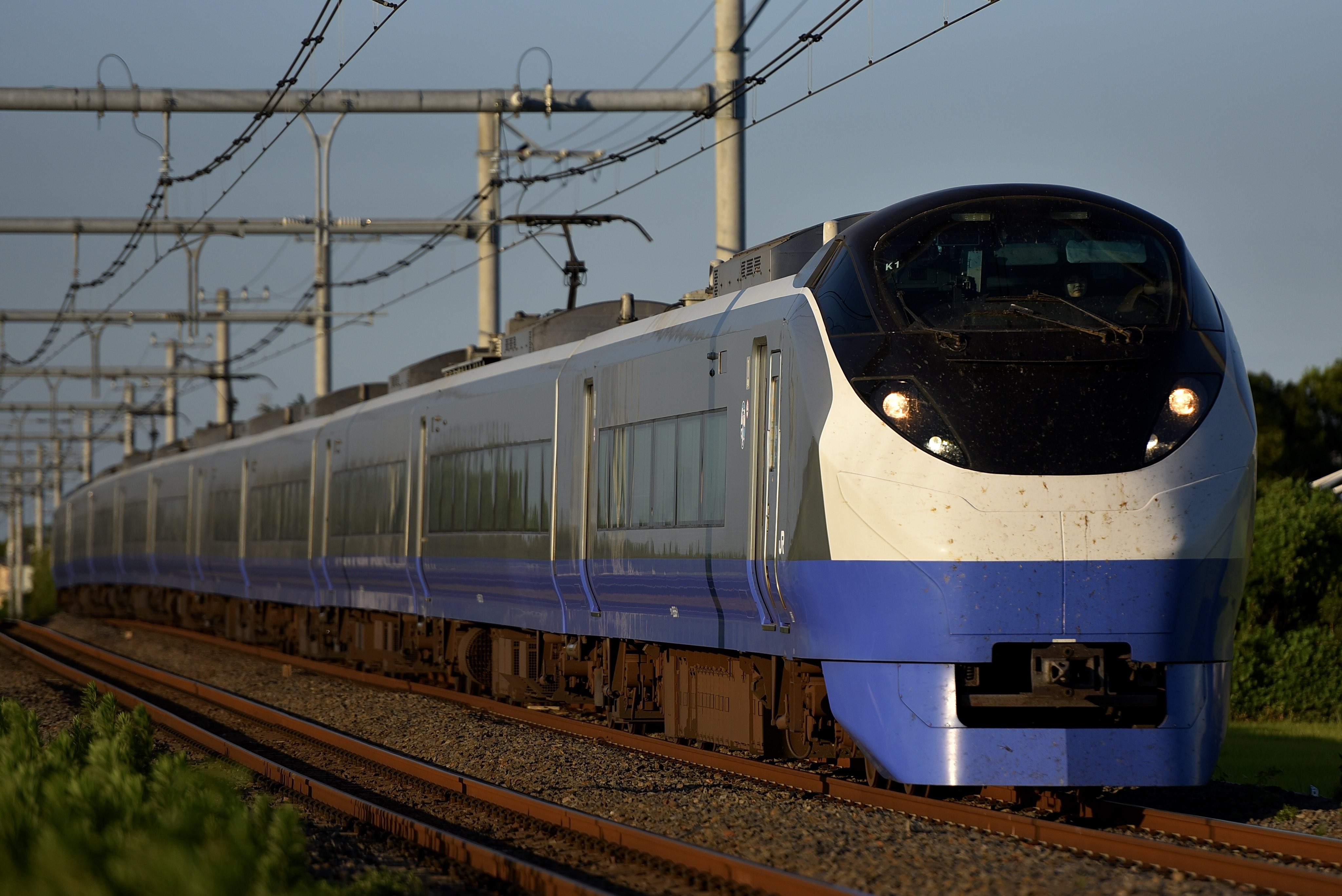 専用　４阿部　51小郷 Hayabusa (10枚セット)ハヤブサ/Hayabusa 小アジ専科135 白