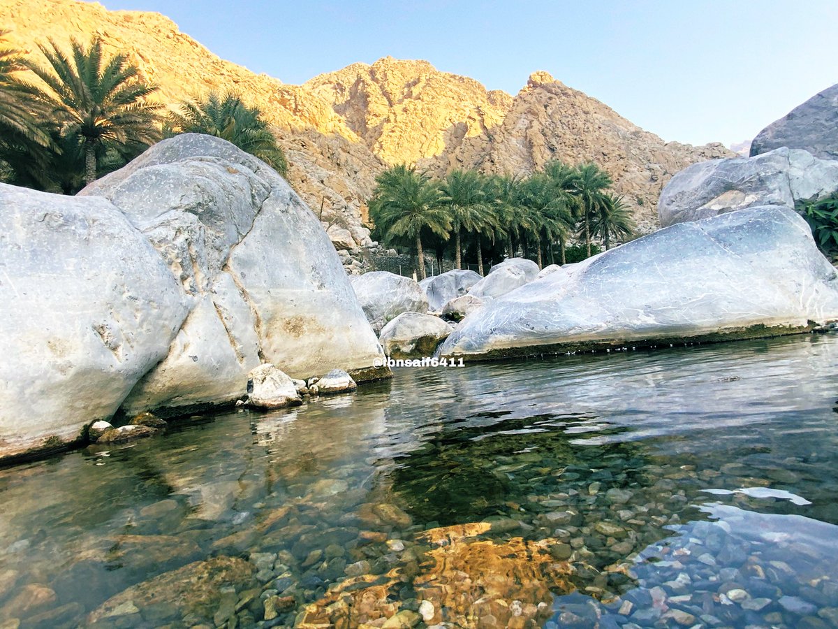 المهارةُ بستانُ الحكمة، والمعرفةُ مفتاحُ السعادةِ وسبيلُ الرخاء. فوجودُها يفتح الآفاق، وغيابُها قد يُغيّر المصير. ليست الأزمةُ في العقول، بل في الالتزام؛ إذ إنّ العجزَ عن إيجاد حلولٍ #الباحثين عن العمل ليس نقصًا في القدرات، بل غيابٌ في الإصرار وتكيف في إدارة الإمكانات 🌾