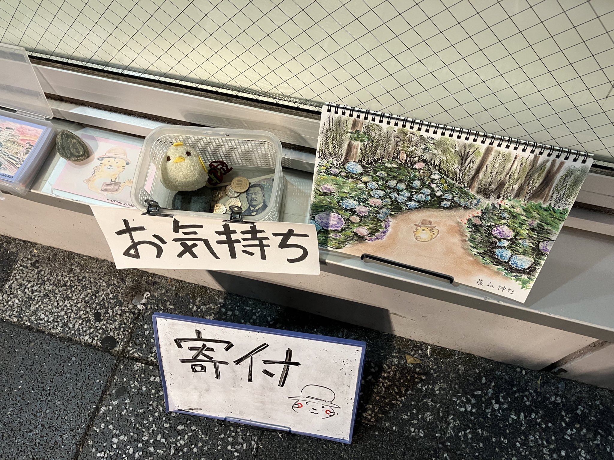 はるちゃん GUvPZDxasAAPc28.jpg