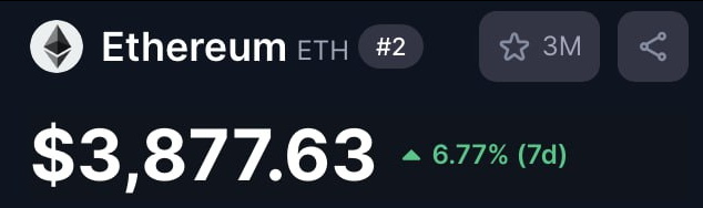 Crypto Whale tweet media