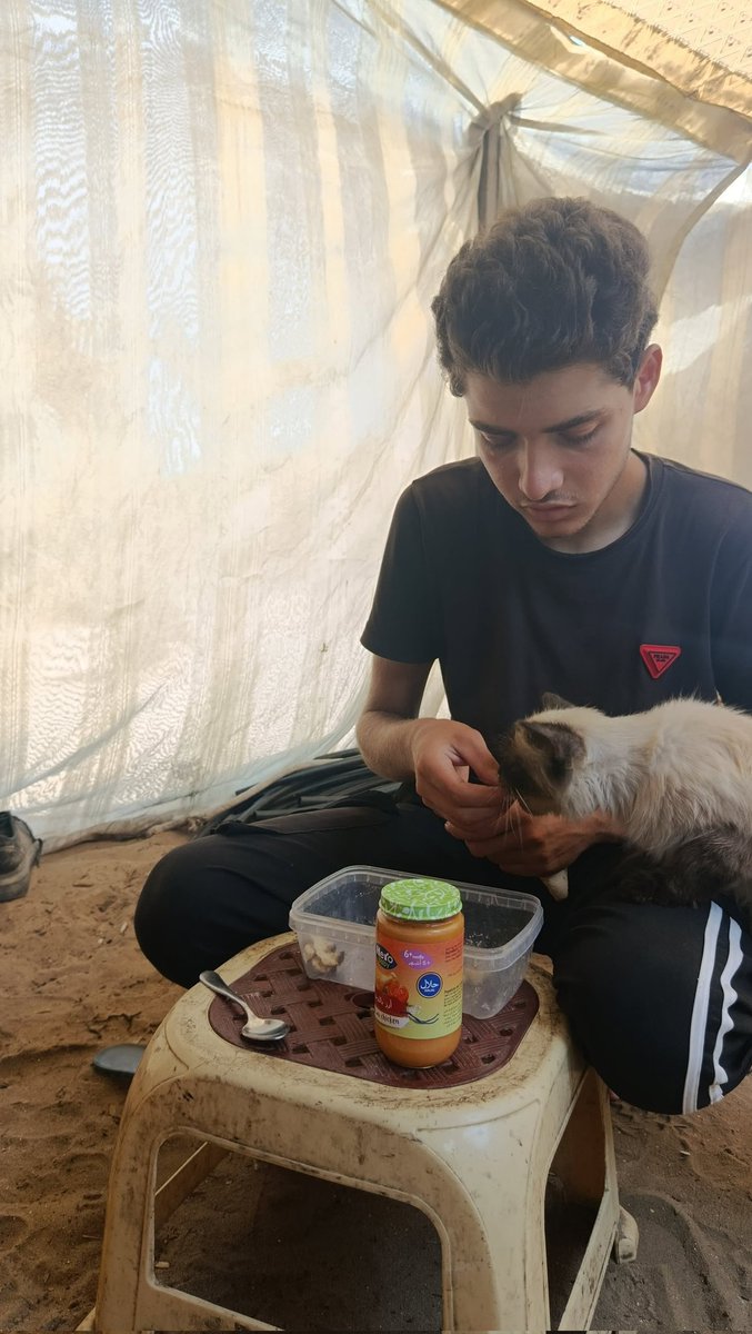 abdalrahma51969's tweet image. I can't even afford to buy food for my cat anymore... Life has become more difficult than I can bear. I search for a morsel of food for me and her. Every day that passes is more difficult than the one before it. Help us, even if it's just a little.💔
gofund.me/c19c1ad6
