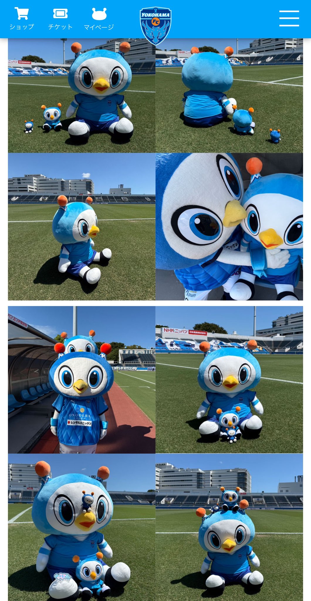 あーちゃん🌸 on X: 