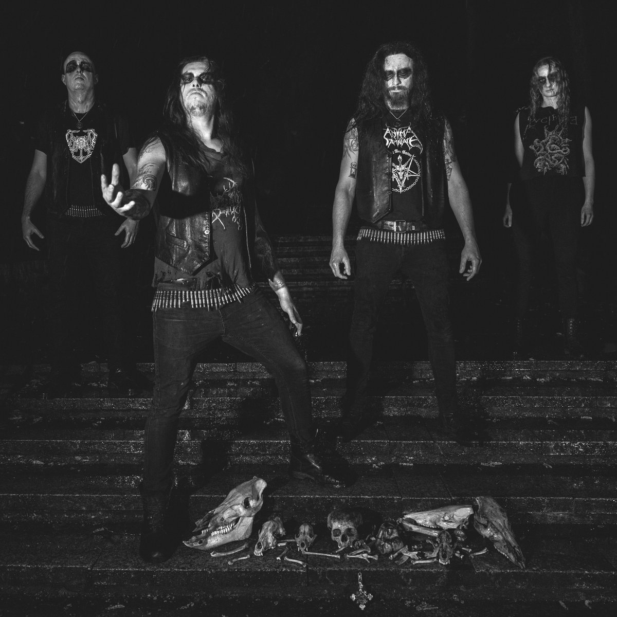 Black Metal Promotion (@bmpromotion666) on Twitter photo 