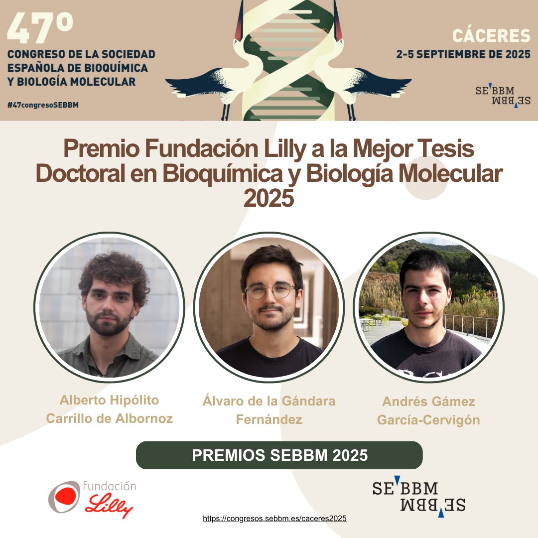 SEBBM (@sebbm_es) on Twitter photo En el #47congresosebbm tendrá lugar la entrega del Premio <a href="/FundacionLilly/">Fundación Lilly</a> a la Mejor Tesis Doctoral en Bioquímica y Biología Molecular 2025 👏
🥇Alberto Hipólito Carrillo de Albornoz
🥈Álvaro de la Gándara Fernández
🥈Andrés Gámez García-Cervigón
f.mtr.cool/qbzlkfdpwl En el #47congresosebbm tendrá lugar la entrega del Premio <a href="/FundacionLilly/">Fundación Lilly</a> a la Mejor Tesis Doctoral en Bioquímica y Biología Molecular 2025 👏
🥇Alberto Hipólito Carrillo de Albornoz
🥈Álvaro de la Gándara Fernández
🥈Andrés Gámez García-Cervigón
f.mtr.cool/qbzlkfdpwl