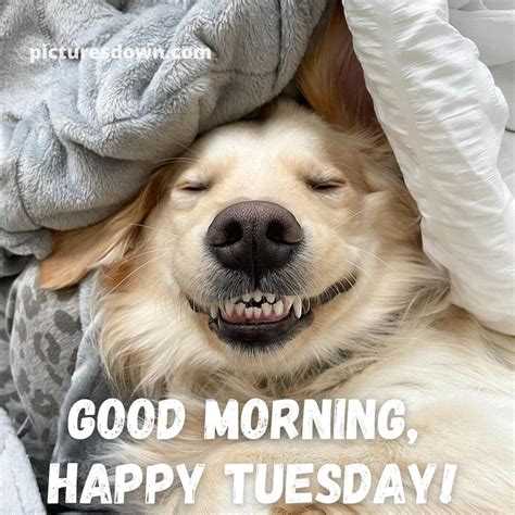 Good morning, Patriots!