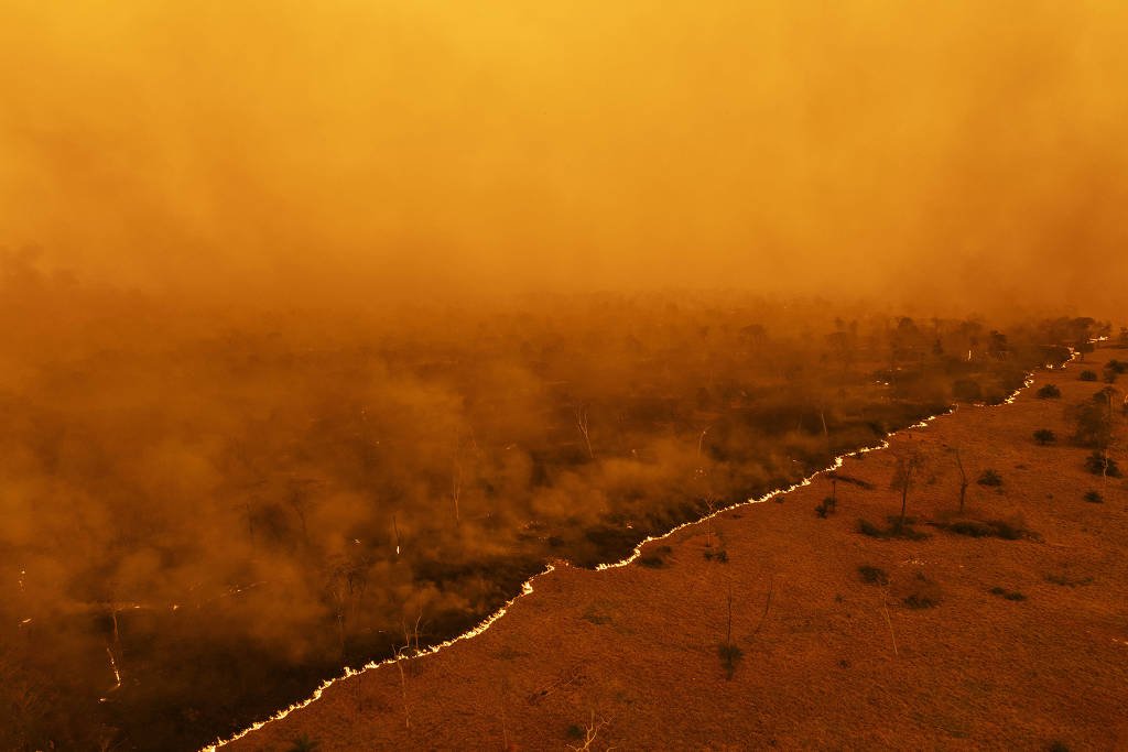 Folha de S.Paulo (@folha) on Twitter photo #opinião
📝 <a href="/ConversationBR/">The Conversation Brasil</a> | Como os incêndios serviram de estímulo para uma evolução na preservação do pantanal. Em 2020, cerca de 30% do bioma foi queimado; agora, graças à ciência e parcerias institucionais; o ecossistema mostra sinais de recuperação #opinião
📝 <a href="/ConversationBR/">The Conversation Brasil</a> | Como os incêndios serviram de estímulo para uma evolução na preservação do pantanal. Em 2020, cerca de 30% do bioma foi queimado; agora, graças à ciência e parcerias institucionais; o ecossistema mostra sinais de recuperação