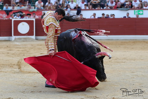 Tristán LL (@tristanll1) on Twitter photo "La hija de doña Dolores nos llenó el depósito de afición,como decíamos al principio y encima tiene el gran mérito de criar toros de los que puedes seguir hablando en invierno(Bilbatero en 3Puyazos,Cigarrero en Vic,Argelón en Bilbao este Yegüizo de Orthez...)"
<a href="/PhilippeGilMir/">Pнιlιppe Gιl Mιr</a> "La hija de doña Dolores nos llenó el depósito de afición,como decíamos al principio y encima tiene el gran mérito de criar toros de los que puedes seguir hablando en invierno(Bilbatero en 3Puyazos,Cigarrero en Vic,Argelón en Bilbao este Yegüizo de Orthez...)"
<a href="/PhilippeGilMir/">Pнιlιppe Gιl Mιr</a>