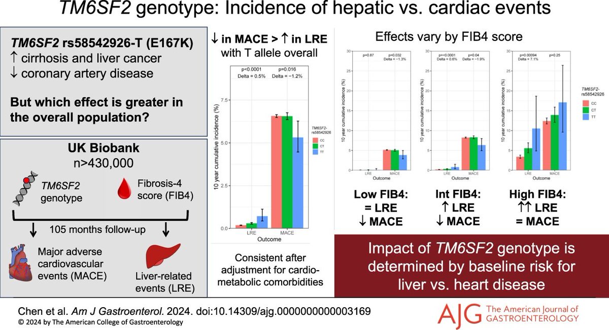 AJG - The American Journal of Gastroenterology (@amjgastro) on Twitter photo TM6SF2-rs58542926 Genotype Has Opposing Effects on Incidence of Hepatic and Cardiac Events in a Community Cohort
Chen, et al.
📕 doi.org/10.14309/ajg.0…
<a href="/anto15392/">Antonino Oliveri</a> <a href="/MLongMD/">Millie Long</a> <a href="/JasmohanBajaj/">Jasmohan Bajaj</a> TM6SF2-rs58542926 Genotype Has Opposing Effects on Incidence of Hepatic and Cardiac Events in a Community Cohort
Chen, et al.
📕 doi.org/10.14309/ajg.0…
<a href="/anto15392/">Antonino Oliveri</a> <a href="/MLongMD/">Millie Long</a> <a href="/JasmohanBajaj/">Jasmohan Bajaj</a>