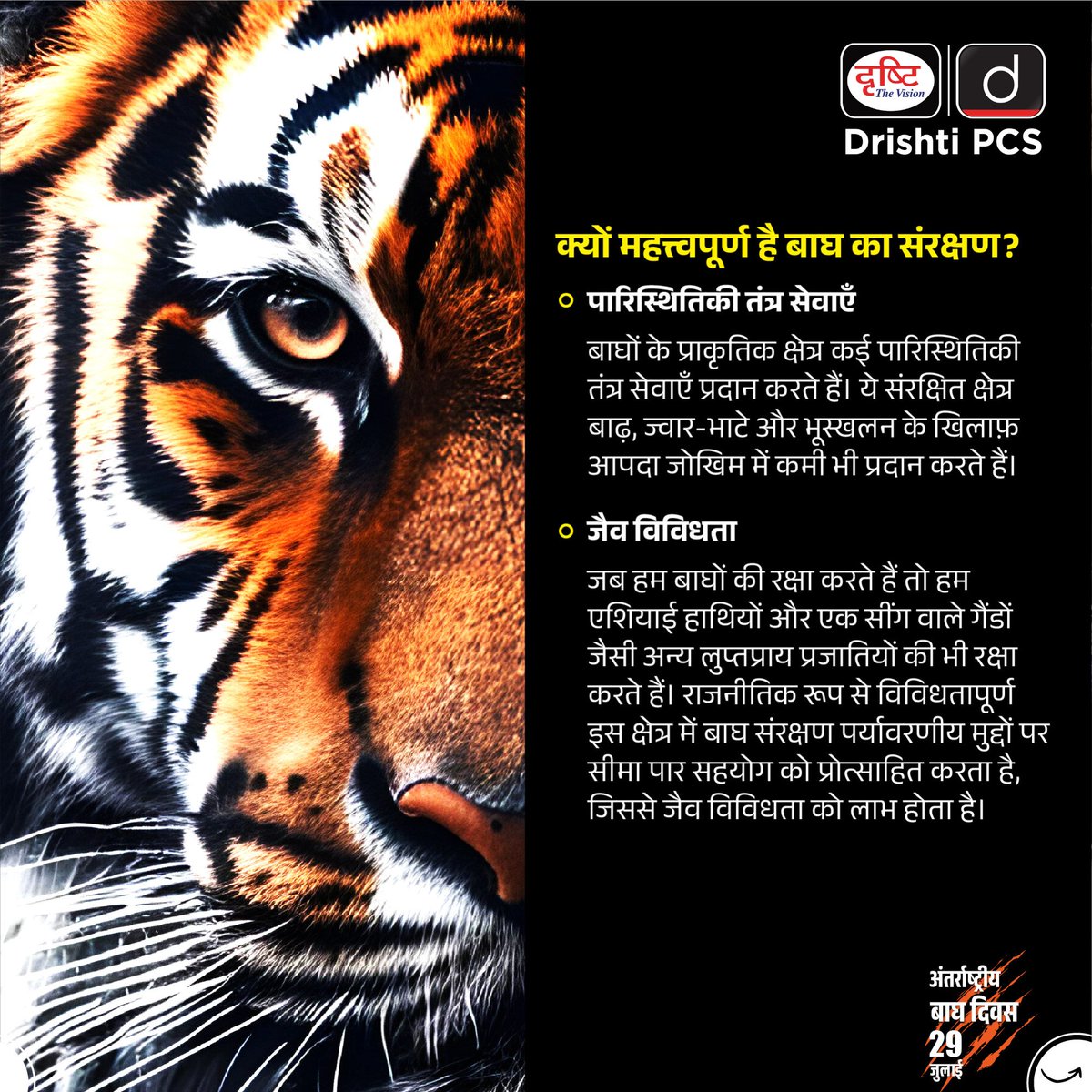 DrishtiPCS's tweet photo. इस टाइगर डे, संरक्षण को एक विकल्प नहीं, बल्कि आवश्यकता मानें।
#InternationalTigerDay #SaveTheTigers #TigerConservation #ProjectTiger #WildlifeConservation #EndangeredSpecies #SaveWildlife #TigerProtection #ConserveWildlife #WildlifeProtection #DrishtiPCS https://t.co/83yBc27ljg
